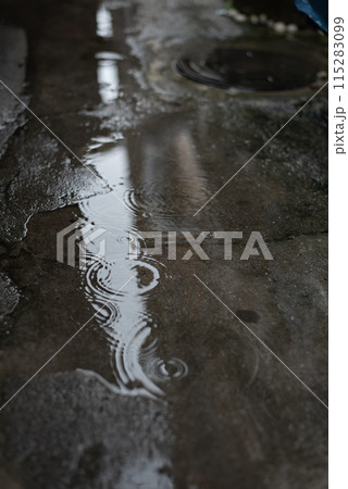 路上に出来た水たまりの雨の波紋 115283099