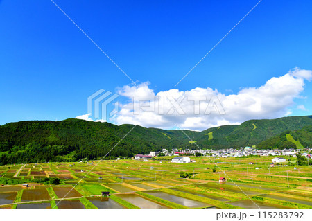 野沢温泉スキー場、温泉街を望む(長野県野沢温泉村)【2024.6】 115283792