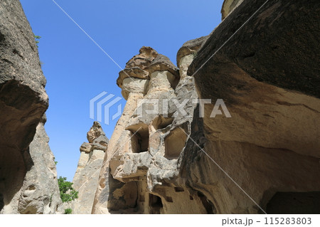 カッパドキアのパシャバーのキノコ岩(横） 115283803