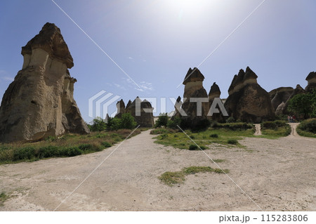 カッパドキアのパシャバーのキノコ岩全景 115283806