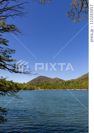 初夏の赤城山 小沼の湖畔から見る黒檜山 初夏の赤城山 小沼の湖畔から見る黒檜山 115283857
