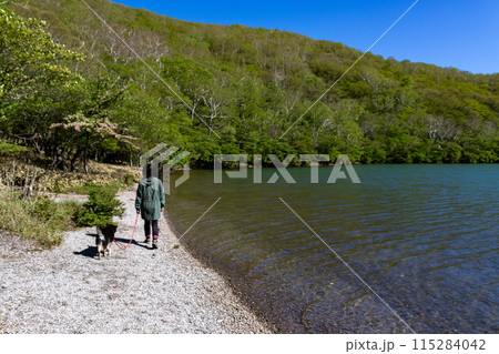 初夏の赤城山 小沼の湖畔 初夏の赤城山 小沼の湖畔 115284042