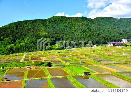 野沢沖の棚田(長野県野沢温泉村)【2024.6】 野沢沖の棚田(長野県野沢温泉村)【2024.6】 115284140