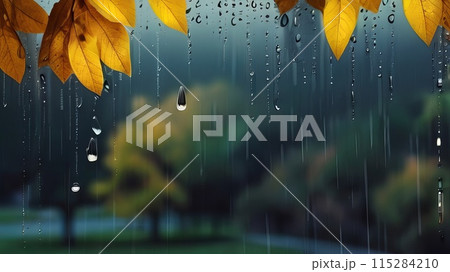 Enchanting Autumn: Rain-Dappled Window View of Yellow Leaves. 115284210