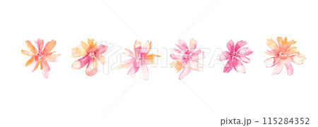 水彩画。水彩タッチの花と草木イラスト。植物のベクターイラスト。華やかな花の装飾イラスト。 水彩画。水彩タッチの花と草木イラスト。植物のベクターイラスト。華やかな花の装飾イラスト。 115284352
