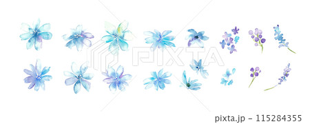 水彩画。水彩タッチの花と草木イラスト。植物のベクターイラスト。華やかな花の装飾イラスト。 115284355