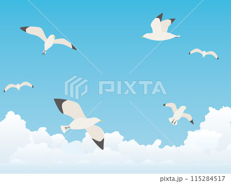空を飛ぶカモメ　夏空の風景 115284517