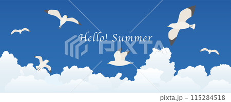 空を飛ぶカモメ　夏空の風景 115284518