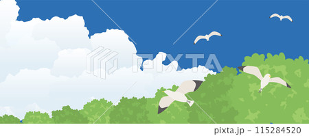 空を飛ぶカモメ 夏空の風景 空を飛ぶカモメ 夏空の風景 115284520