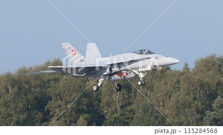 スイス空軍F/A-18Cホーネット着陸 115284568