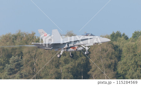 スイス空軍F/A-18Cホーネット着陸 スイス空軍F/A-18Cホーネット着陸 115284569