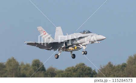 スイス空軍F/A-18Cホーネット着陸 115284573
