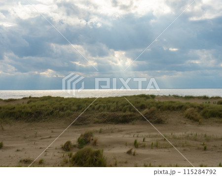 Egmond, Netherlands - August 5th 2023: Beautiful coastline with sand dunes in the afternoon sunshine 115284792