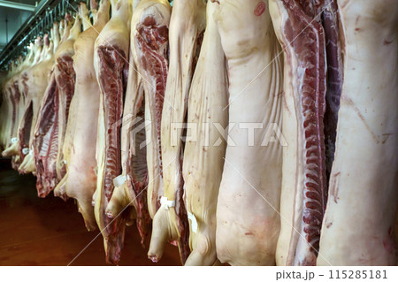 Pork meat in production. Fresh pork carcasses in a meat factory warehouse 115285181