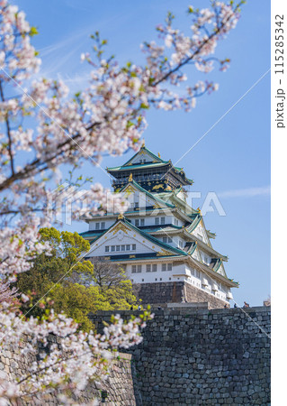 【桜】春の大阪城公園【大阪城天守閣】 【桜】春の大阪城公園【大阪城天守閣】 115285342