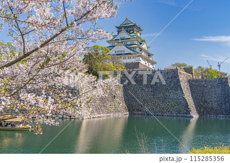 【桜】春の大阪城公園【大阪城天守閣】 【桜】春の大阪城公園【大阪城天守閣】 115285356