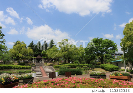 伊丹市 西猪名公園の花壇 伊丹市 西猪名公園の花壇 115285538