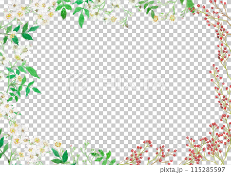 野ばらの花と実の水彩イラストフレーム 115285597