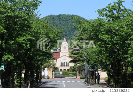 西宮市 上甲東園の桜並木と関学の時計台 西宮市 上甲東園の桜並木と関学の時計台 115286223