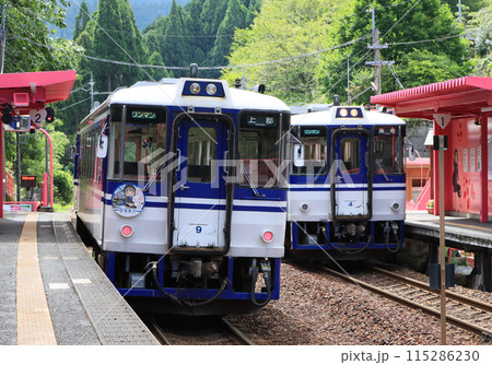 智頭急行恋山形駅で並ぶ気動車 智頭急行恋山形駅で並ぶ気動車 115286230