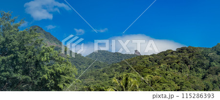 Lush Tropical Forest Landscape with Clear Blue Sky Lush Tropical Forest Landscape with Clear Blue Sky 115286393
