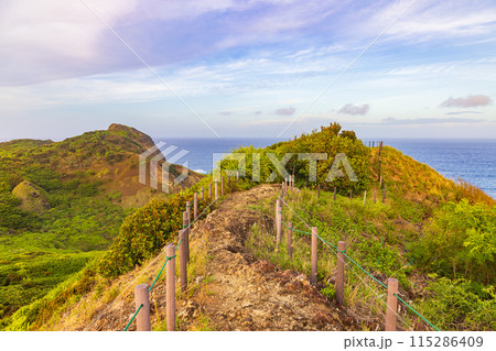 母島・小富士　山頂から望む絶景　　 115286409