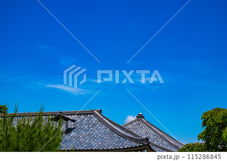 【京都風景】醍醐の空 115286845