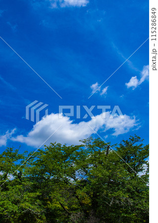 【京都風景】醍醐の空 115286849