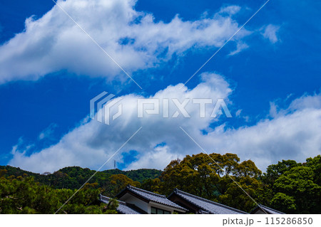 【京都風景】醍醐の空 115286850