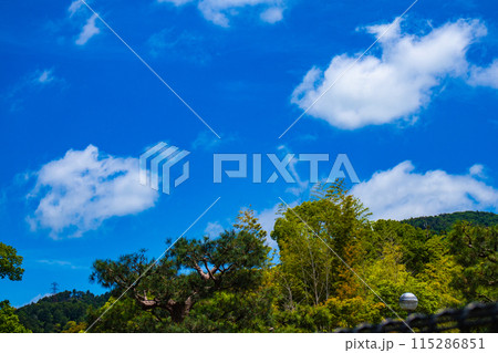 【京都風景】醍醐の空 115286851