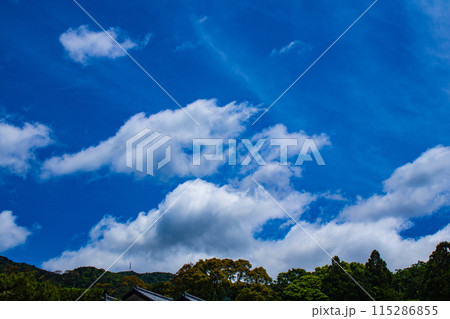 【京都風景】醍醐の空 115286855