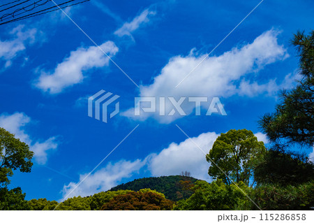 【京都風景】醍醐の空 【京都風景】醍醐の空 115286858