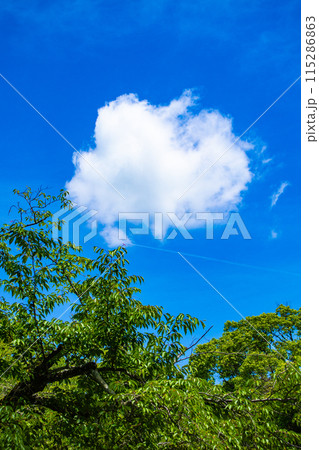 【京都風景】醍醐の空 115286863