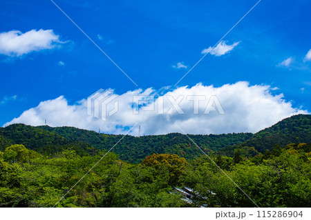 【京都風景】醍醐の空 【京都風景】醍醐の空 115286904