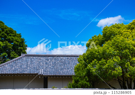 【京都風景】醍醐の空 115286905