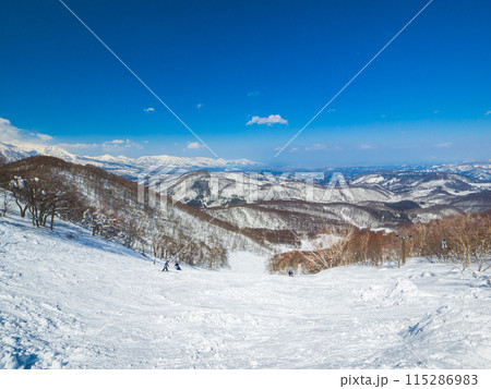 スキー場山頂の非圧雪コースからの眺め (長野県、斑尾高原) 115286983