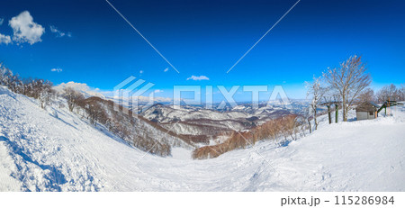 スキー場山頂非圧雪コースのパノラマ風景 (長野県、斑尾高原) 115286984