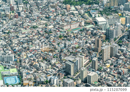 【東京都】建物が密集する大都市の都市風景 【東京都】建物が密集する大都市の都市風景 115287099