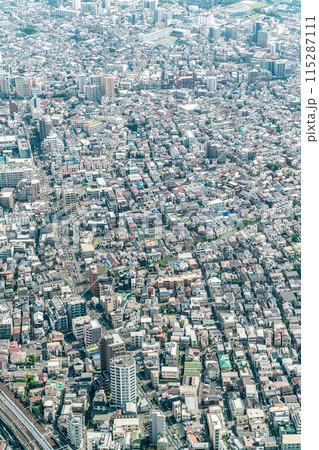 【東京都】建物が密集する大都市の都市風景 【東京都】建物が密集する大都市の都市風景 115287111