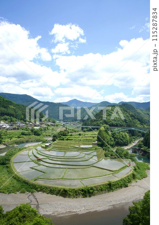 水面に空が映った和歌山のあらぎ島 水面に空が映った和歌山のあらぎ島 115287834