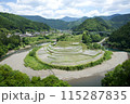 水を張った和歌山のあらぎ島 115287835