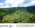 新緑が映える中田の棚田 115288026