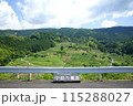 新緑が映える中田の棚田 115288027