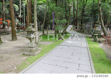 大阪府交野市にある星田妙見宮の境内の風景 115289160