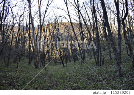 浅間隠山、登山、群馬県 115289202