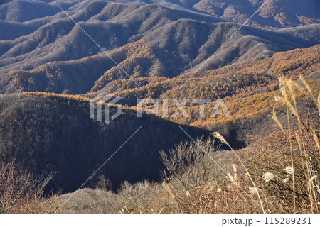 浅間隠山、登山、群馬県 115289231