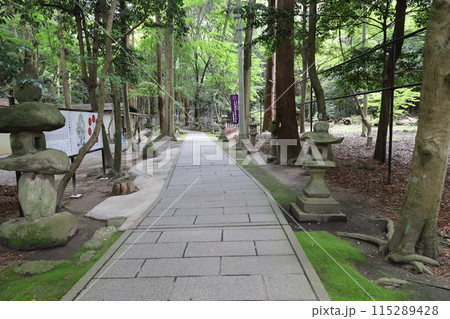 大阪府交野市にある星田妙見宮の境内の風景 大阪府交野市にある星田妙見宮の境内の風景 115289428