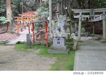 大阪府交野市にある星田妙見宮の境内の風景 115289430