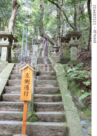 大阪府交野市にある星田妙見宮の境内の風景 115289432