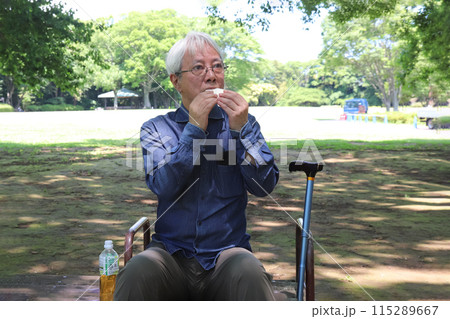 サンドイッチを頰張る高齢者 115289667